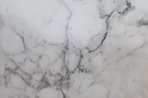Carrara White Granite